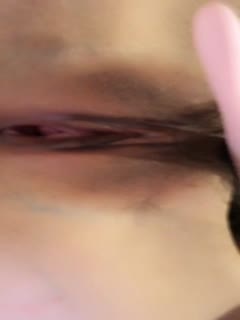 adult